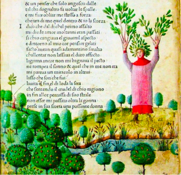 Manuscript image of Petrarch turning into a tree